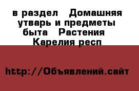  в раздел : Домашняя утварь и предметы быта » Растения . Карелия респ.
